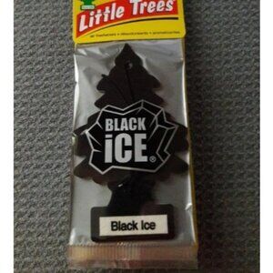 Car Freshener, Black Ice, 10-Pack